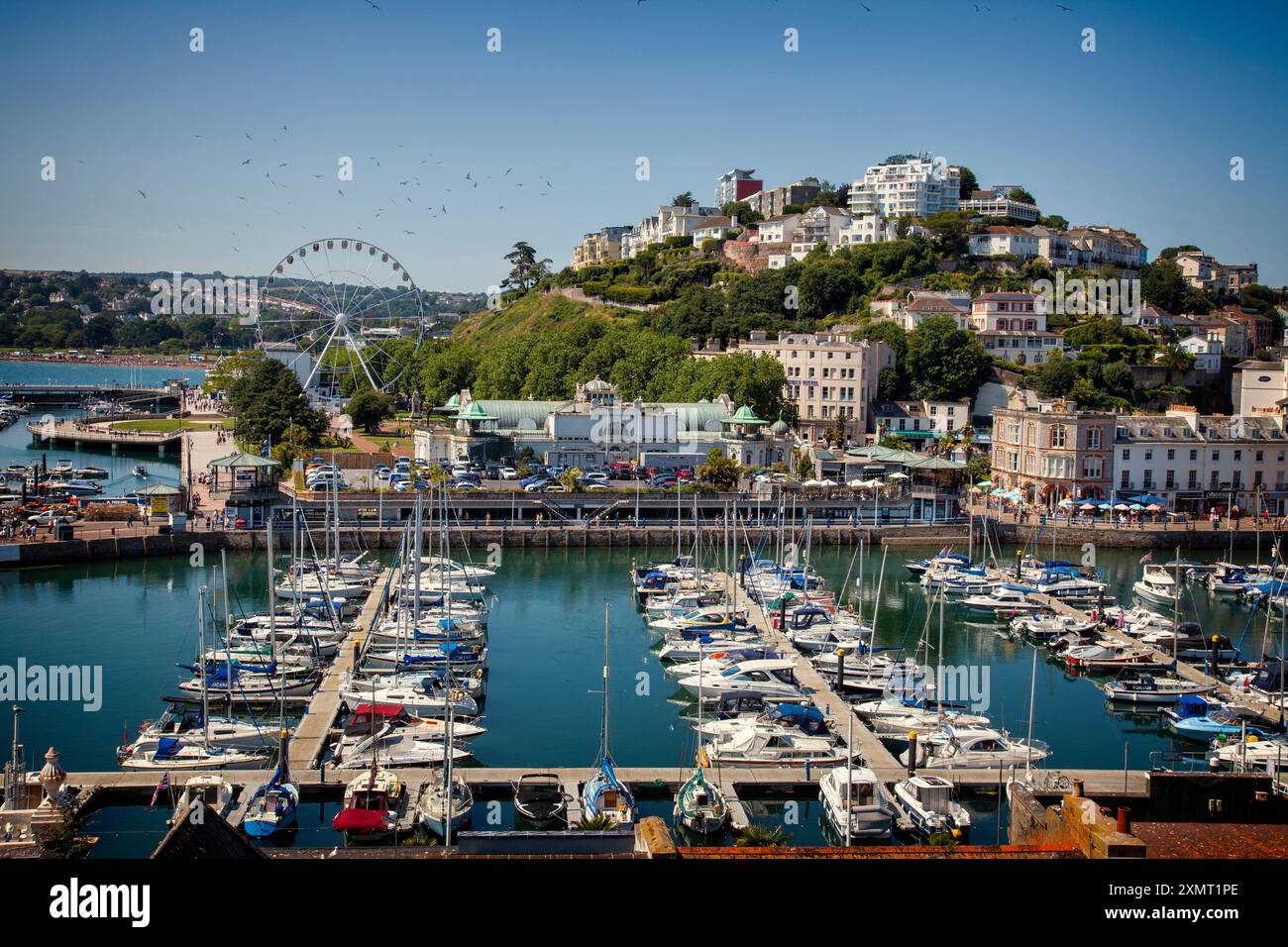 GB - DEVON: Eine geschäftige Hafenszene in Torquay an der englischen Riviera im Südwesten Englands, Fotografie von Edmund Nagele FRPS Stockfoto