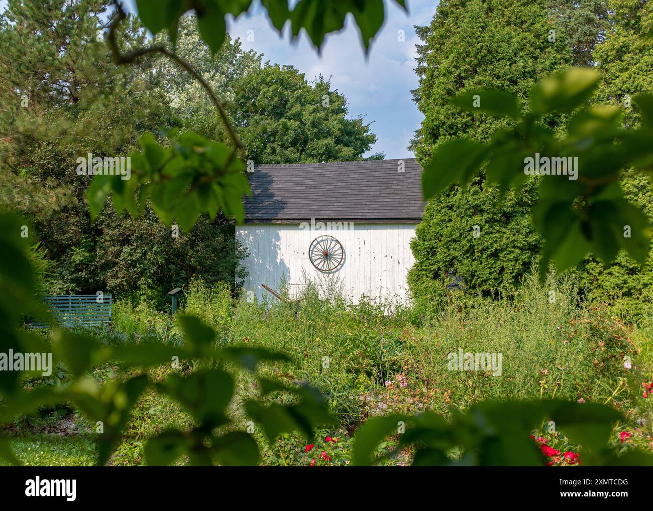Ein altes Kariolenrad an einer Außenmauer einer Scheune in der Stadt Deschambault-Grondines in Quebec, Kanada Stockfoto