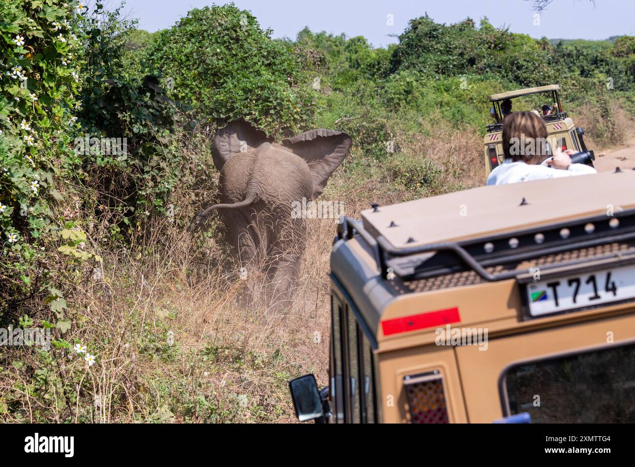 Lake Manyara, Tansania, Afrika Stockfoto