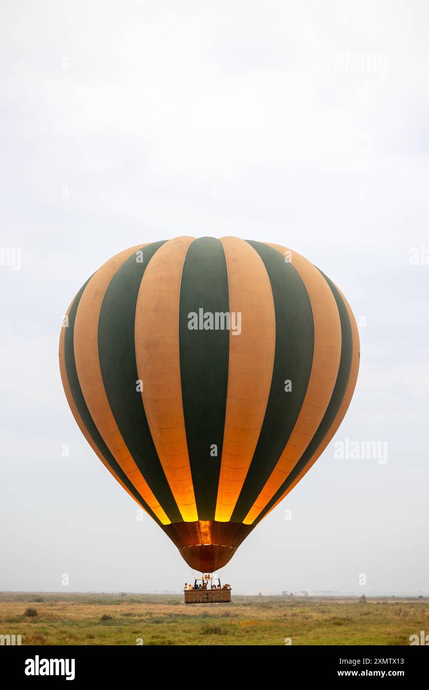 Heißluftballon in der Serengeti, Tansania, Afrika Stockfoto