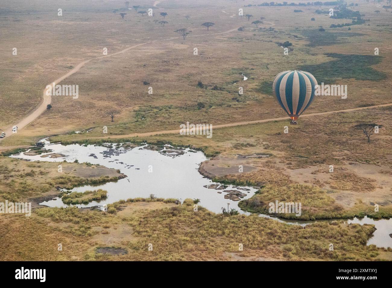 Heißluftballon in der Serengeti, Tansania, Afrika Stockfoto