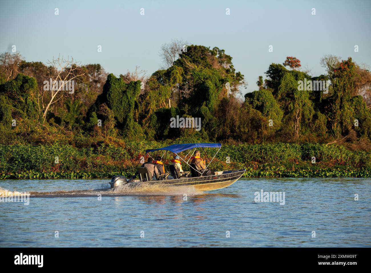 Touristen auf der Suche nach Jaguaren auf dem Fluss Tres Irmaos im Pantanal von Mato Grosso, dem besten Ort der Welt, um die Großkatzen zu sehen, Brasilien Stockfoto