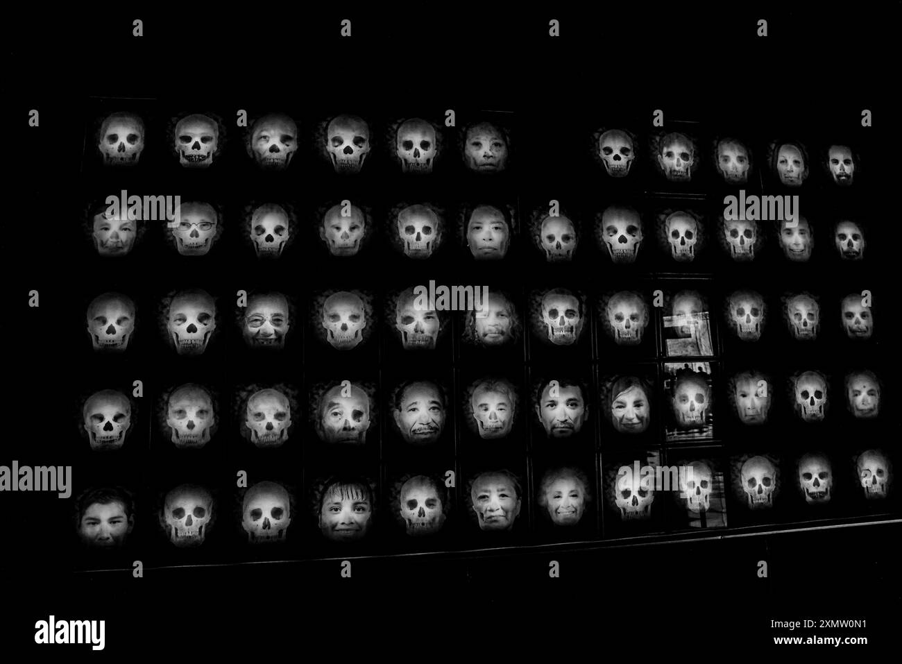 Höhlenmensch, Neandertaler, Primate, Homo Habilis, Homo Rudolfensis, Homo sapiens im Nationalmuseum für Anthropologie MNA in Mexiko-Stadt. Amerikanischer Museumskomplex, der das archäologische Erbe der Völker Mesoamerikas und die ethnische Vielfalt im Chapultepec Forest zeigt, der vom National Institute of Anthropology and History INAH betrieben wird. Naturgeschichte .. (Foto: Luis Gutierrez/ Norte Photo) hombre de la caverna, Neandertal, Primate, Homo Habilis, Homo Rudolfensis, Homo sapiens en el Museo Nacional de Antropología MNA en Ciudad de México. recinto museográficos de América. Que exhibe legado Stockfoto