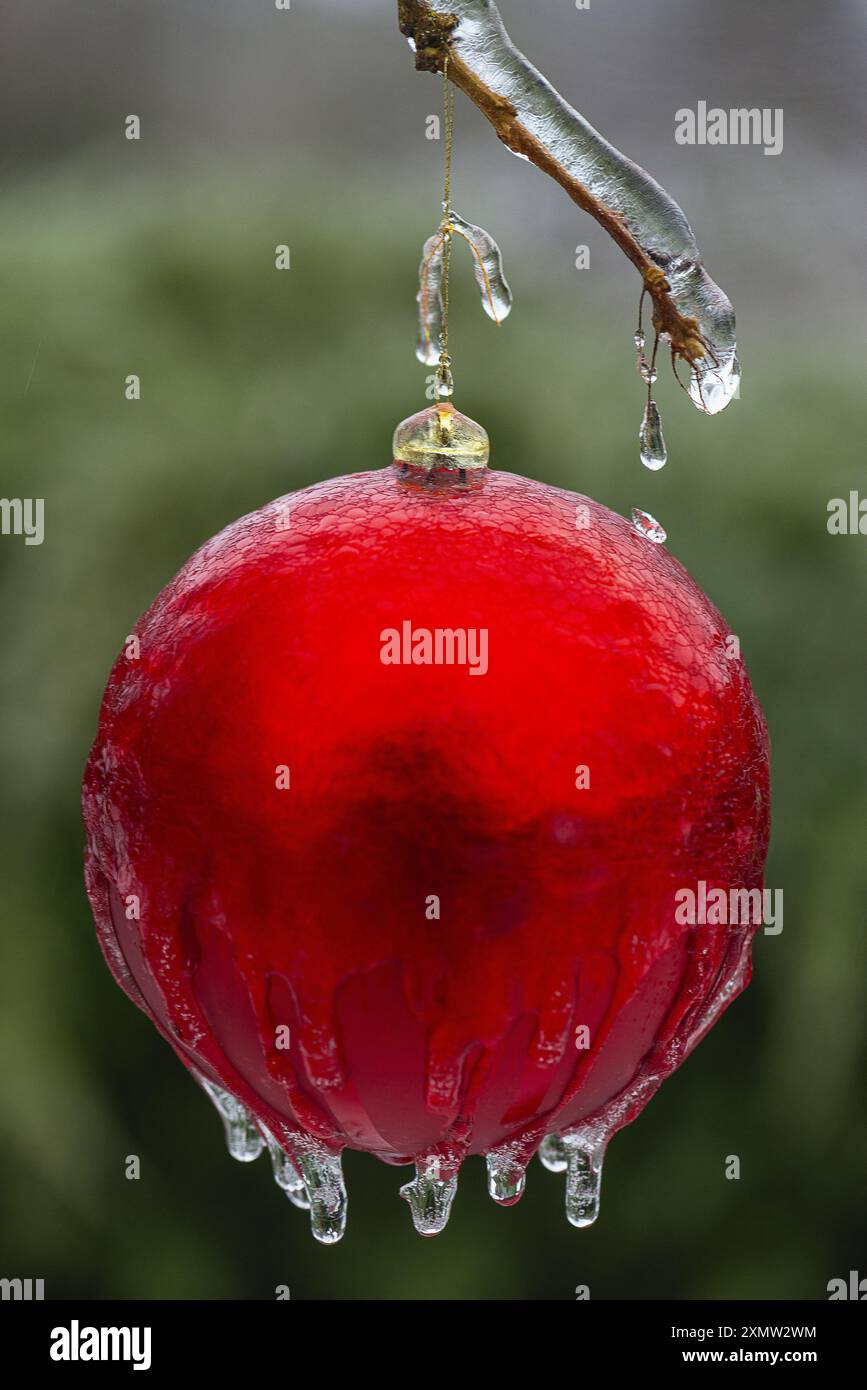 Ein Ornament in einem Eissturm Stockfoto