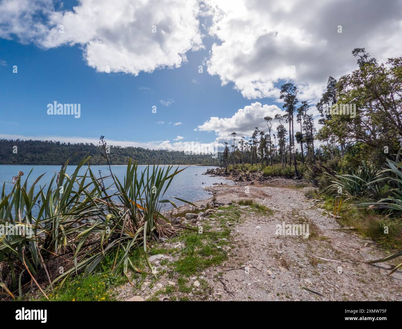 Okarito Lagoon, Neuseeland - Eine Oase an der Küste für Vogelbeobachtungen, Öko-Touren und Kajakabenteuer Stockfoto