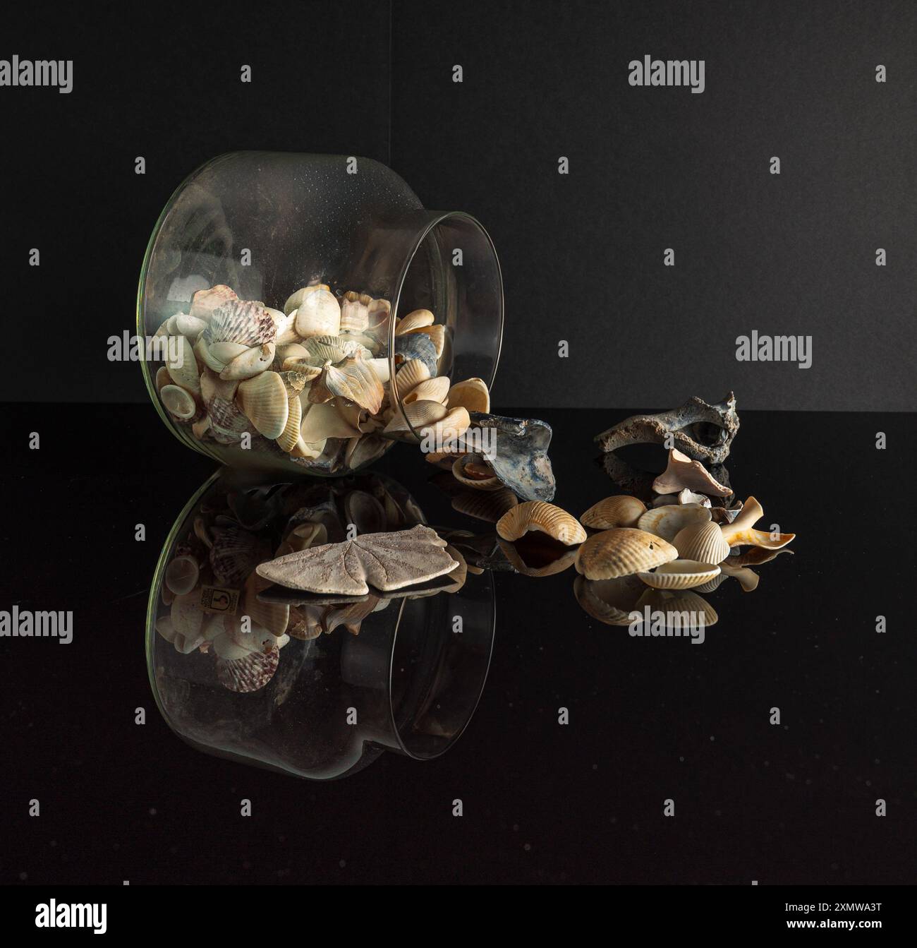 Verschiedene Muscheln, die aus dem Glasgefäß auf glänzend schwarzen Hintergrund mit Reflexionen verschüttet werden Stockfoto