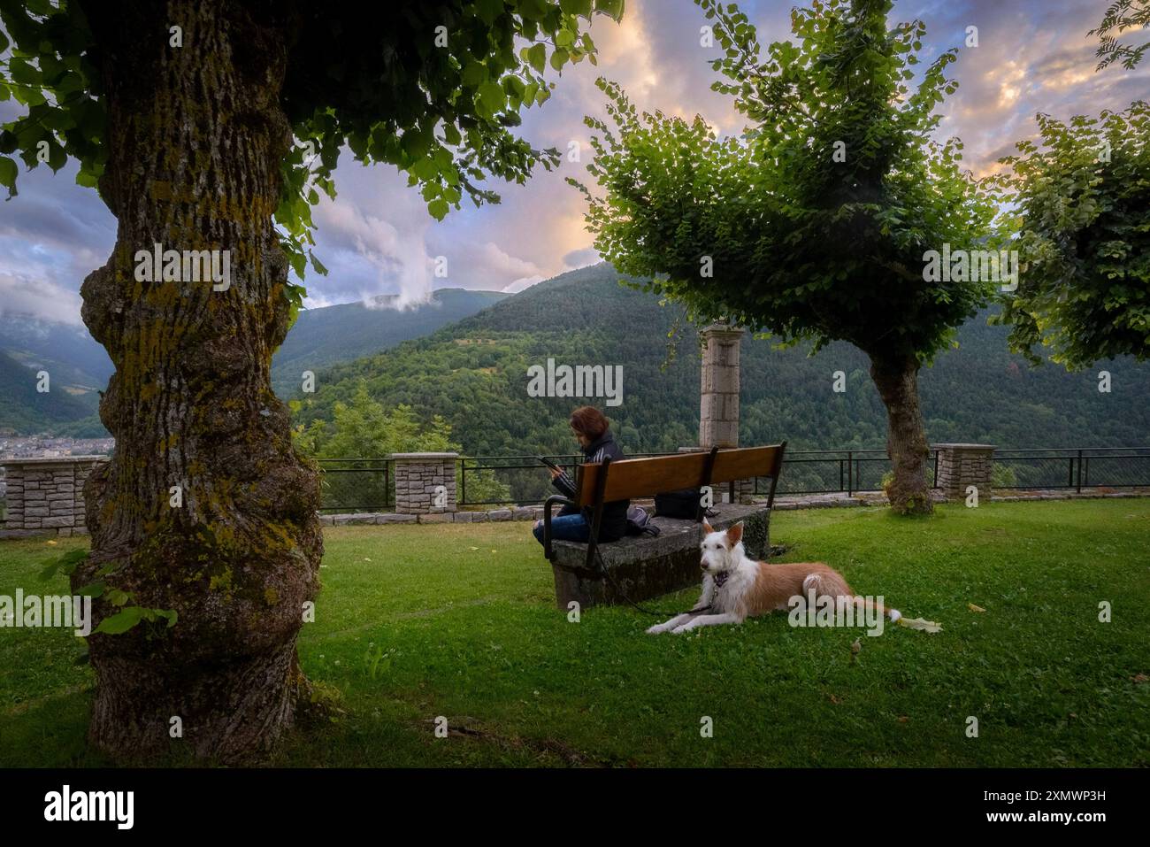 Frau mit Hund im Park von Vilac (Lleida - Spanien) Stockfoto
