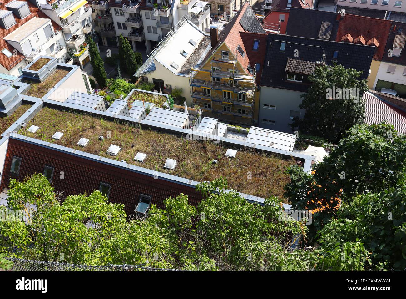 Draufsicht auf ein mit Vegetation bedecktes Flachdach (Grün des Wohndachs) in der Stadt Würzburg, Deutschland Stockfoto