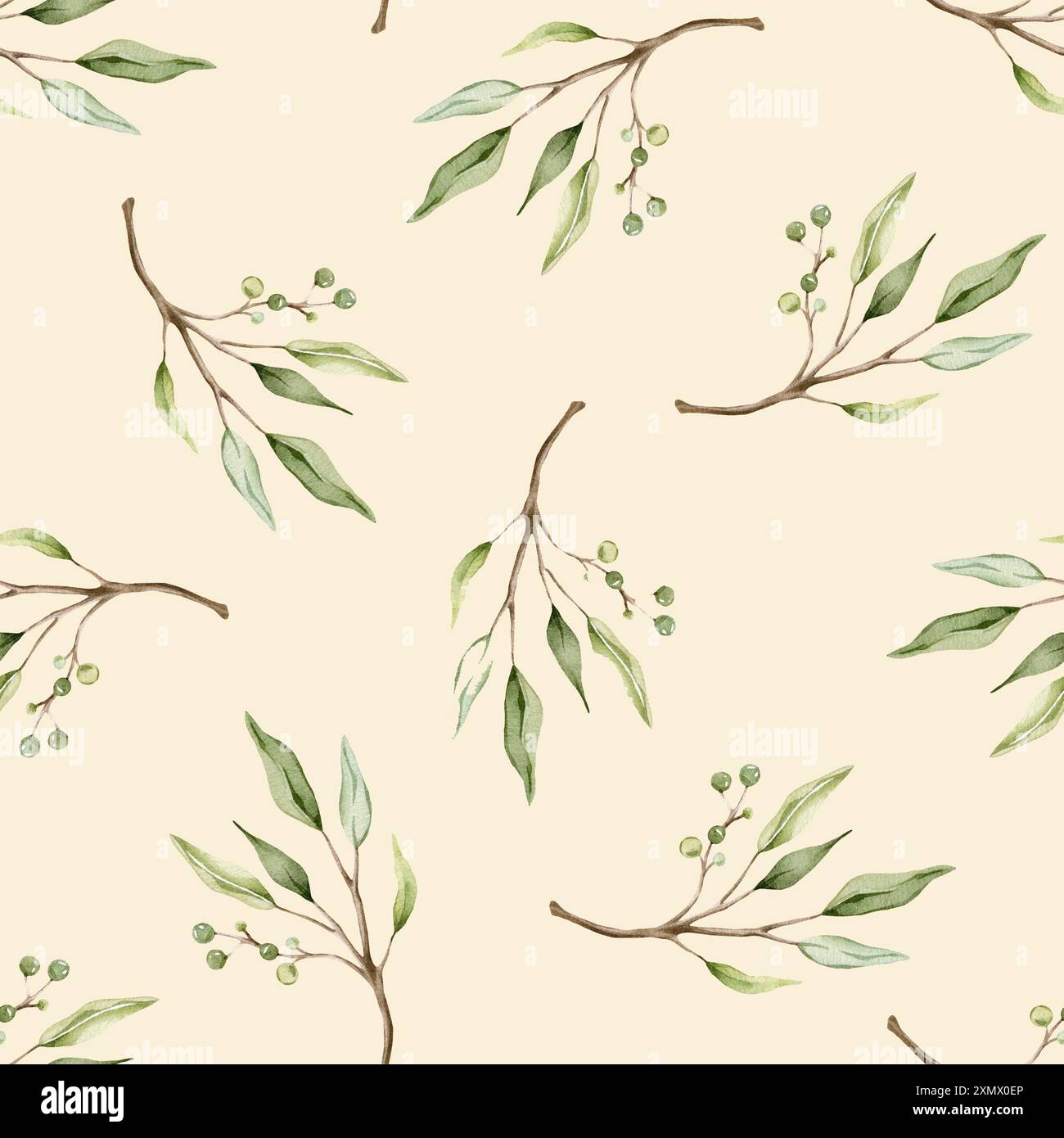 Nahtloses Muster mit grünen Eukalyptusblättern und grünen Beeren. Botanischer Naturdruck für Textildesign. Aquarell isolierte Illustration auf Licht Stockfoto