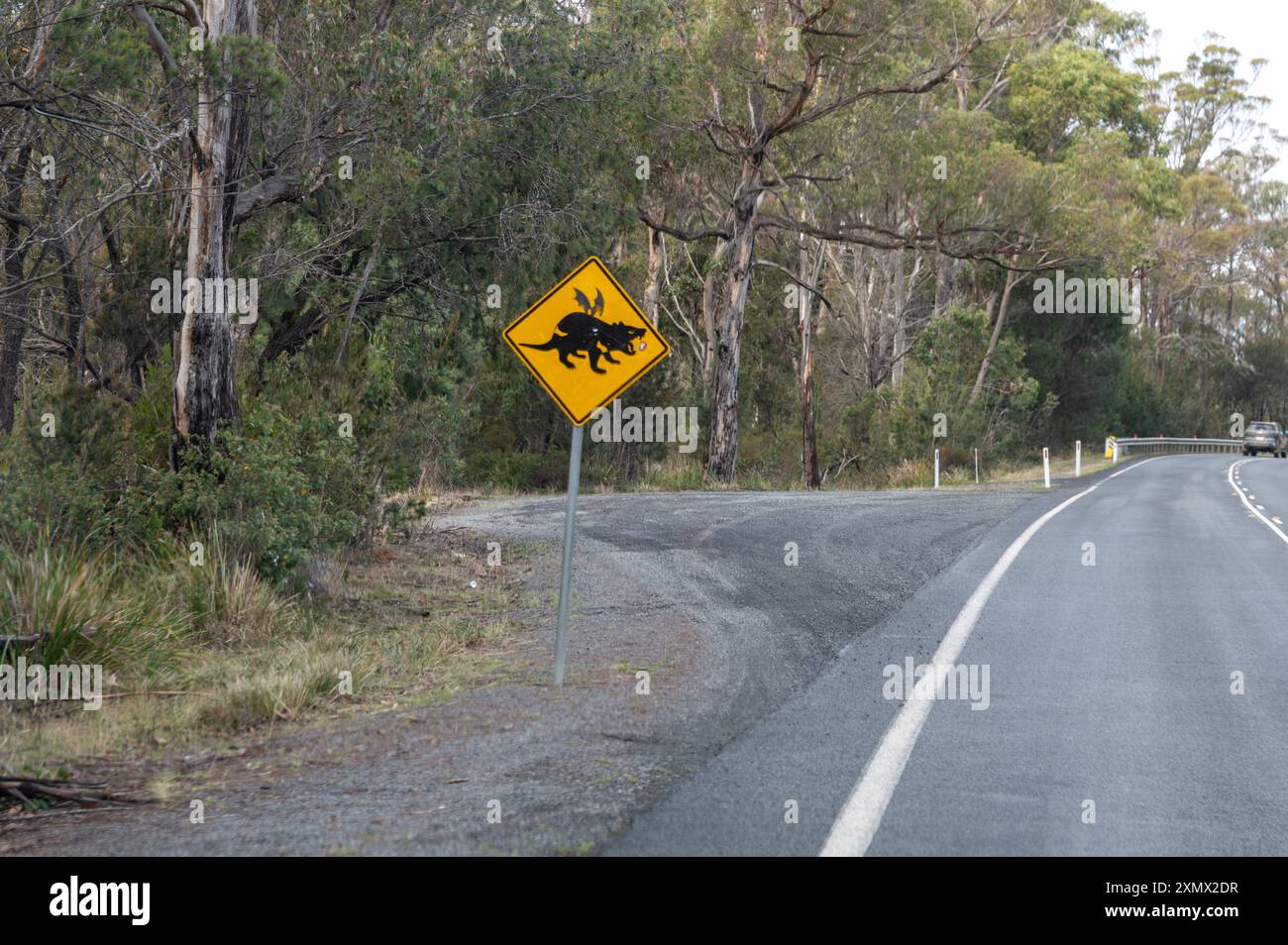 Ein australisches Warnschild für einen lokalen Lebensraum des Tasmanischen Teufels in Tasmanien, Australien. Einige tasmanische Straßenschilder sind humorvoll wie diese Stockfoto