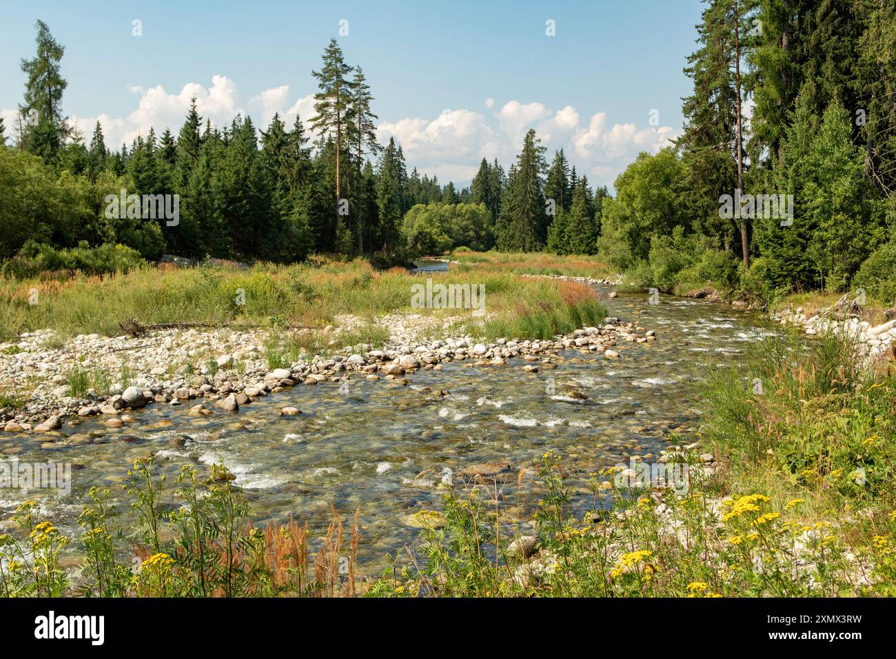 Fluss Bela, in der Nähe von Podbanske, Slowakei Stockfoto