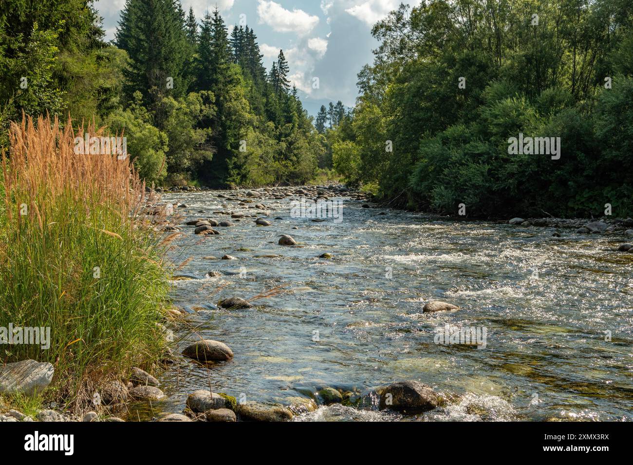 Fluss Bela, in der Nähe von Podbanske, Slowakei Stockfoto