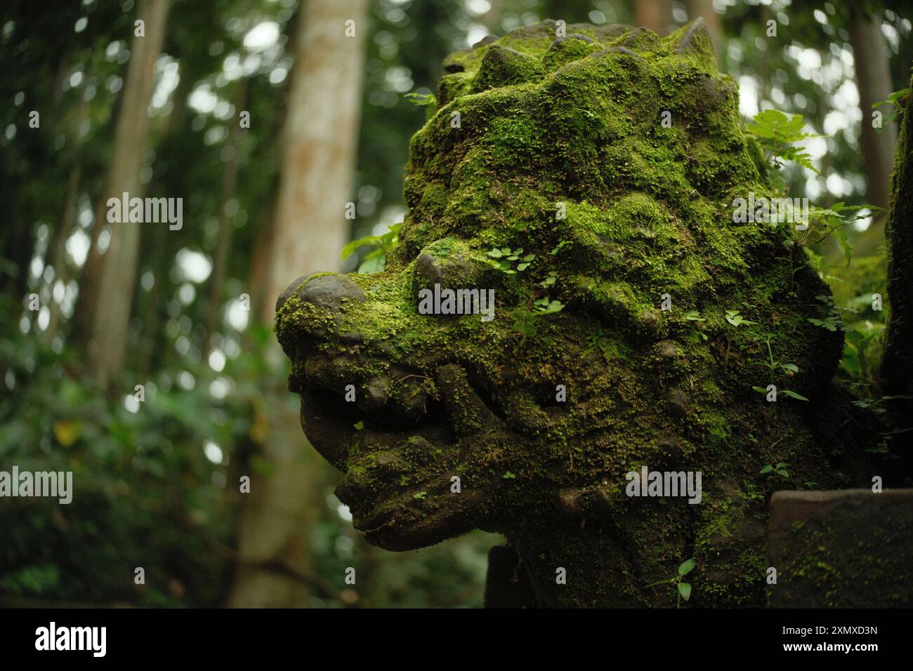 Ubud, Bali, Indonesien - 9. Juli 2024: Eine moosgeschnitzte Steindrachenstatue als ethnisches Kulturartefakt in einem Tempel im tropischen Regenwald Stockfoto