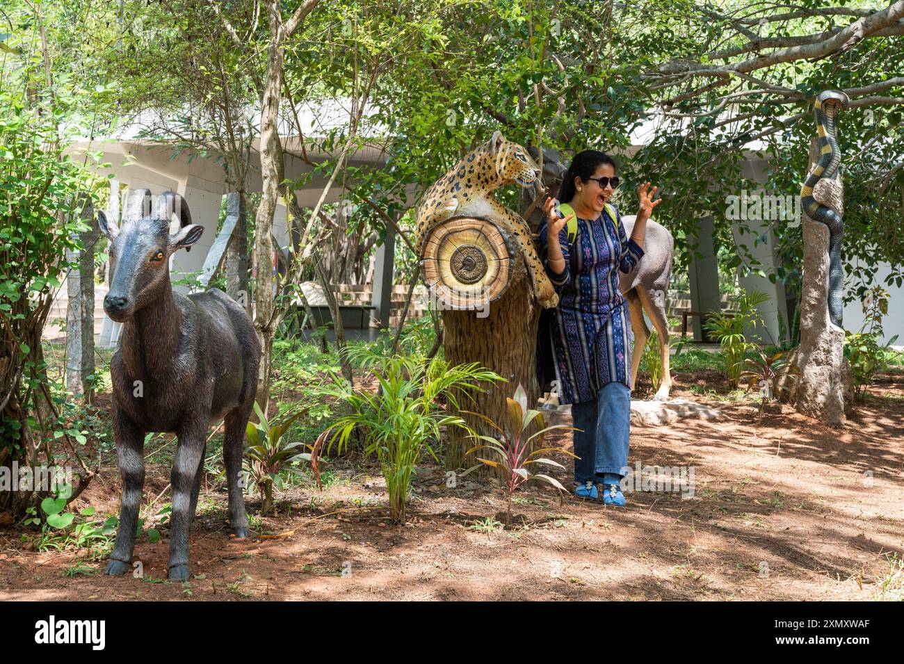 Auroville, Indien - Juni 2024 - Wildlife Museum Stockfoto