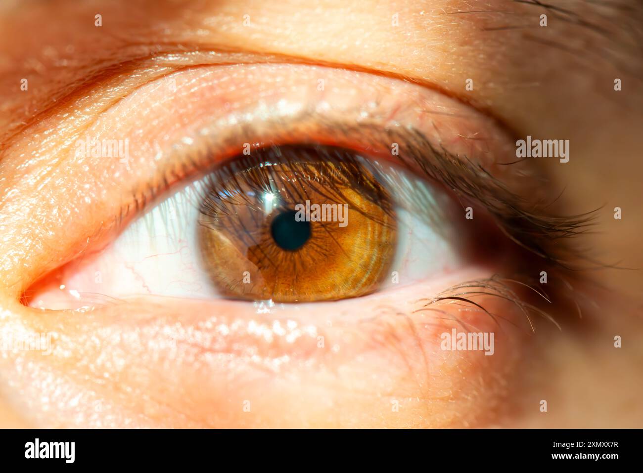 Ein Makrofoto, das die komplizierten Details eines braunen, naselnussbraunen Auges eines Mannes aufnimmt und seine lebendige Farbe, Textur und natürliche Schönheit zeigt. Stockfoto