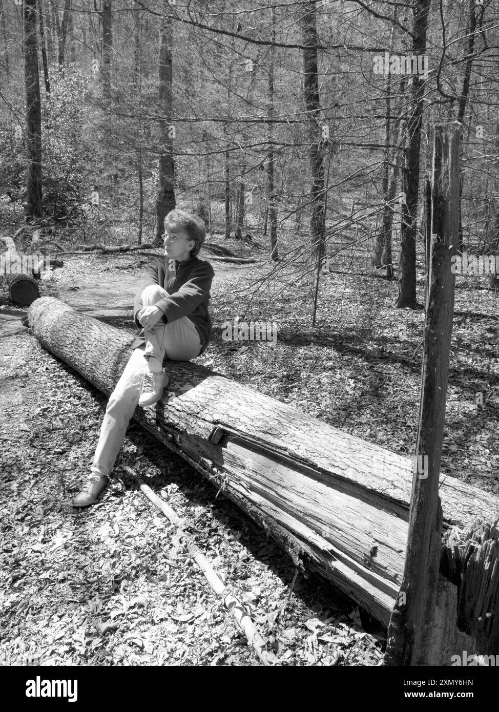 Campingplatz in der Nähe von Brevard und Hendersonville, Transylvanien County, North Carolina. Der Campingplatz ist Teil des Art Loeb Trail und des Pisgah National F Stockfoto