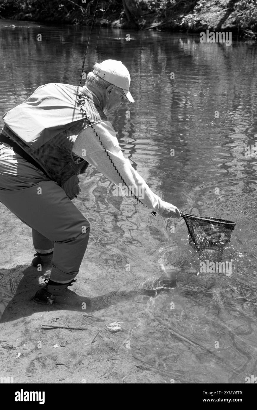 Senior Kaukasier fangen Fische mit einem Netz auf dem Davidson River Campground nahe Brevard, NC. USA Stockfoto