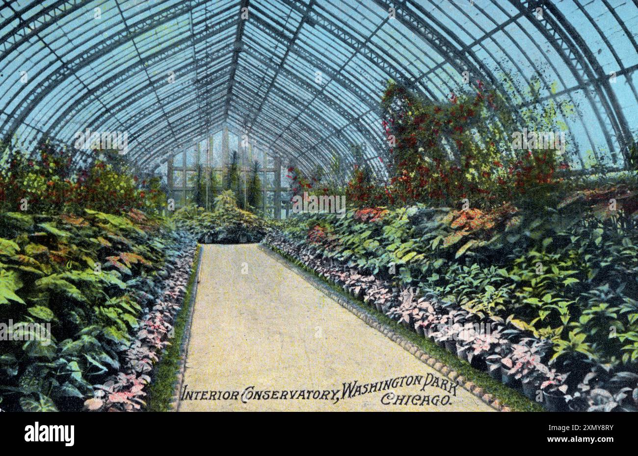 Das Innere des Conservatory, Washington Park, Chicago Stockfoto