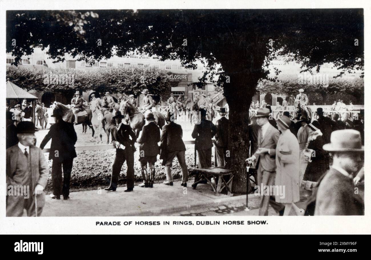 Parade of Horse in Rings, Dublin Horse Show, Irland Stockfoto