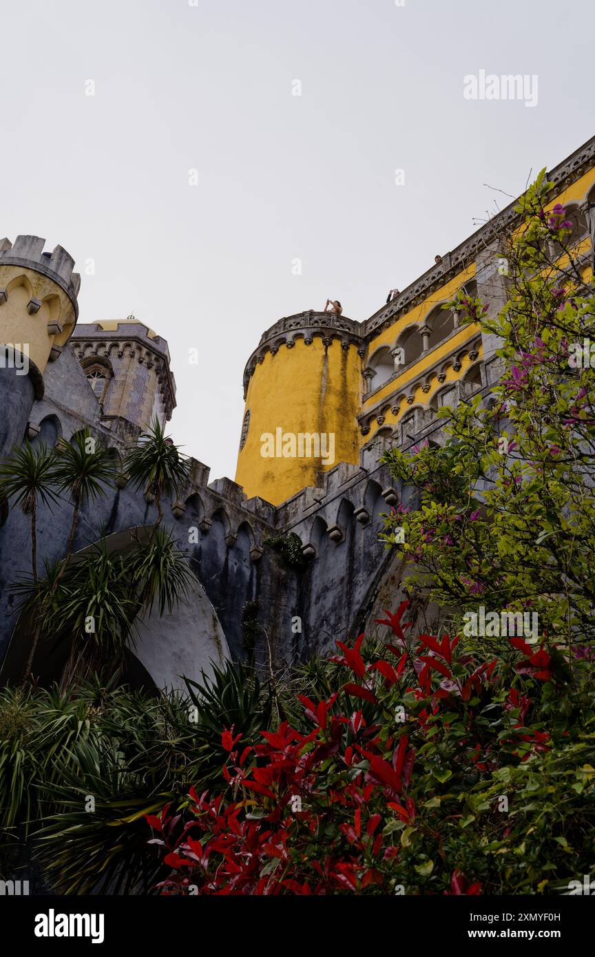 Die leuchtenden gelben Türme des Pena Palace ragen über üppiges Laub Stockfoto