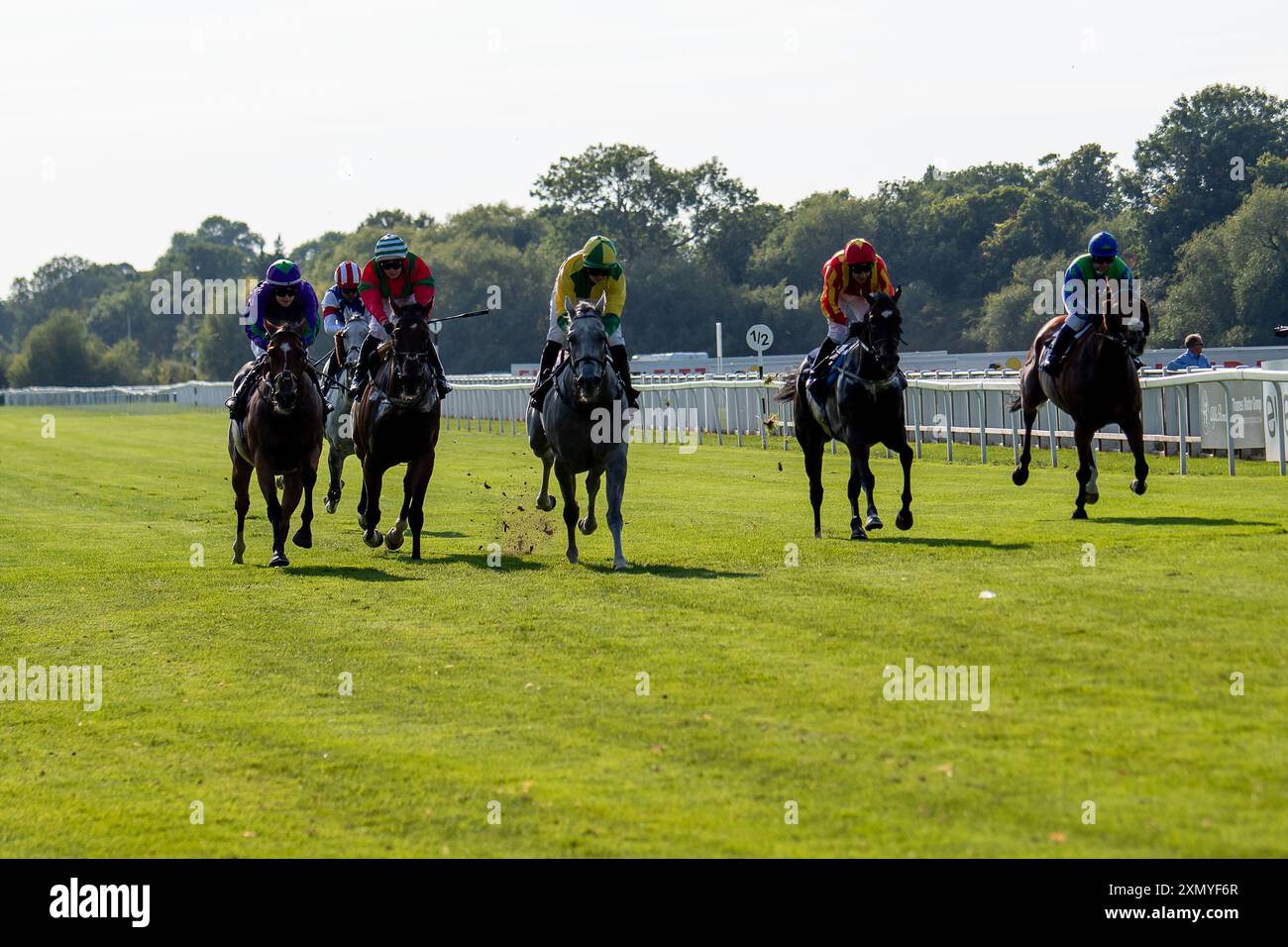 Windsor, Berkshire, Großbritannien. Juli 2024. Der Pferdeschlitten von Jockey Olivia Tubb (gelbe und grüne Seide) gewinnt die Thames Alfa Romeo Slough Apprentice Handicap Stakes (Klasse 5) am Royal Windsor Racecourse Evening mit Queen Race Meeting. Besitzer und Züchter Mr S Emmet und Miss R Emmet, Trainer Jonathan Portman, Upper Lambourn, Sponsor Pump Technology Ltd Quelle: Maureen McLean/Alamy Live News Stockfoto