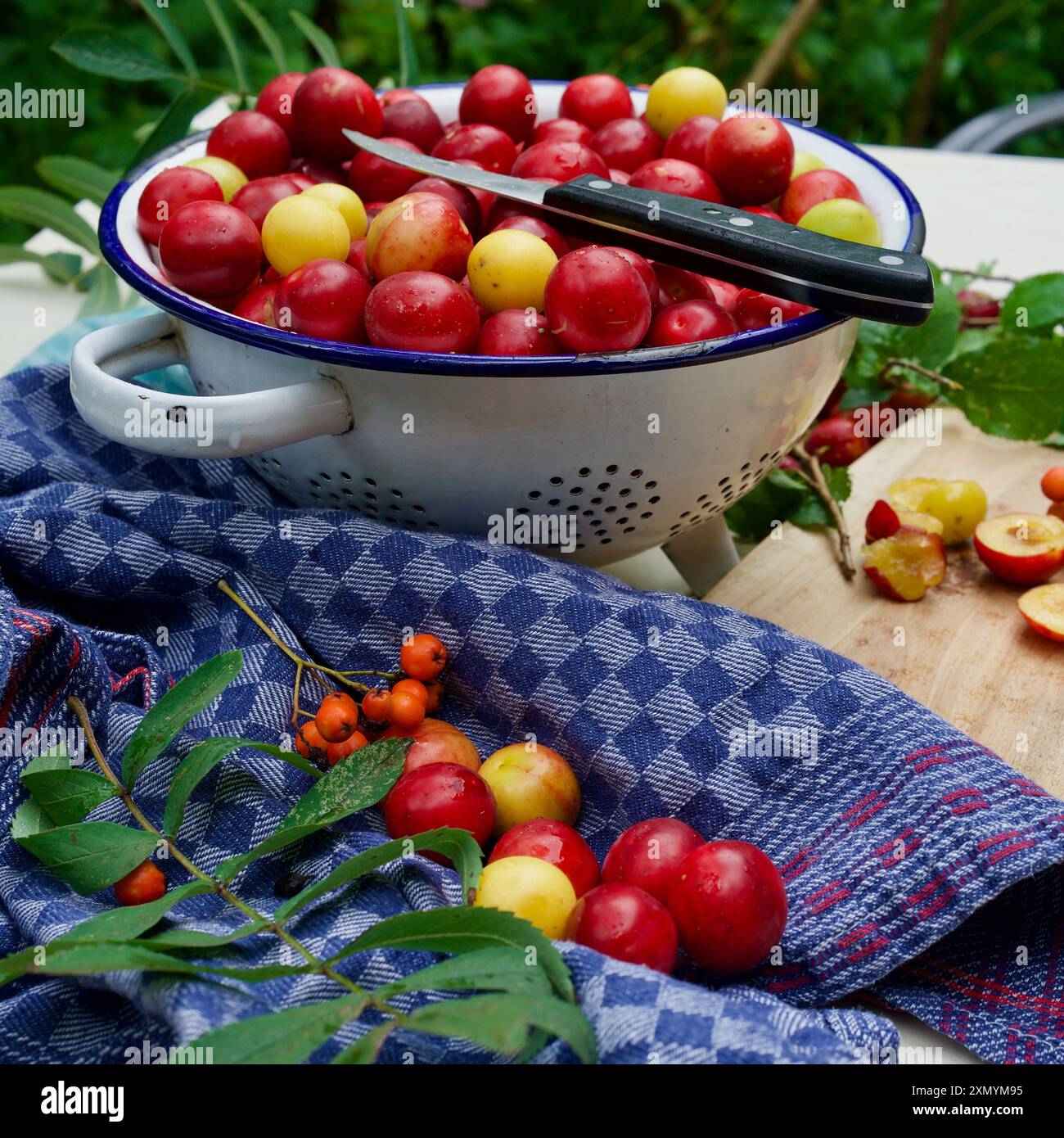 Kirschpflaumen in einem alten kirchensieb, Handtücher, ein Küchenmesser. Hausgemachte Marmelade. Stockfoto
