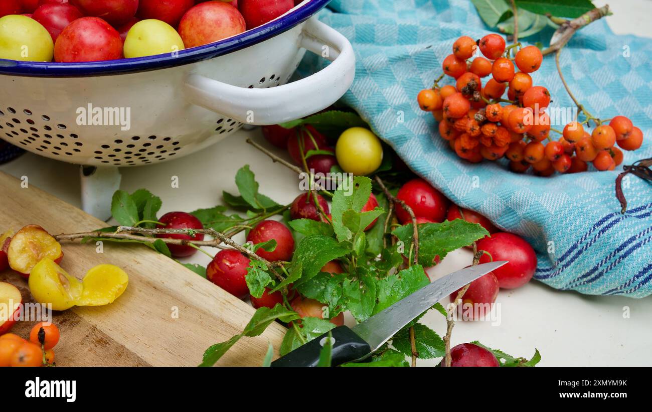 Kirschpflaumen in einem alten kirchensieb, Handtücher, ein Küchenmesser. Hausgemachte Marmelade. Stockfoto