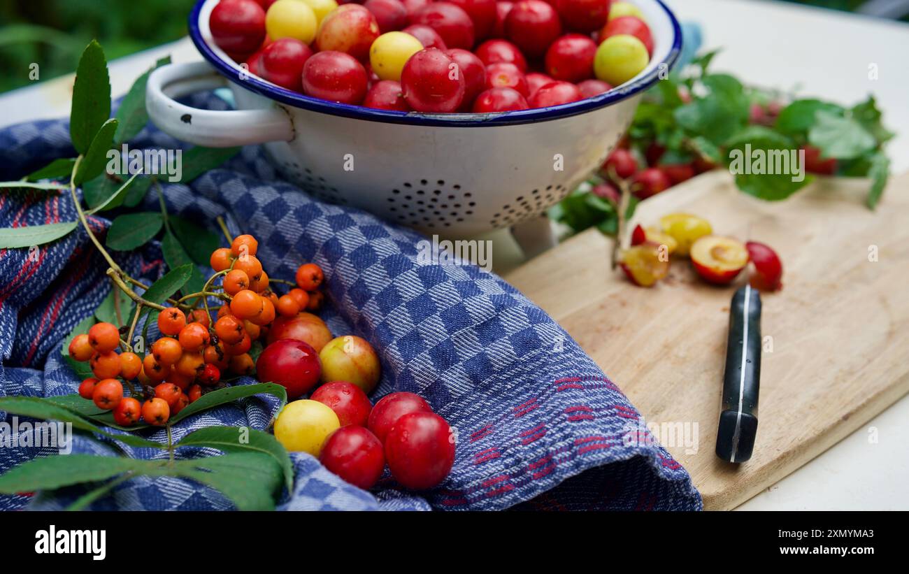 Kirschpflaumen in einem alten kirchensieb, Handtücher, ein Küchenmesser. Hausgemachte Marmelade. Stockfoto