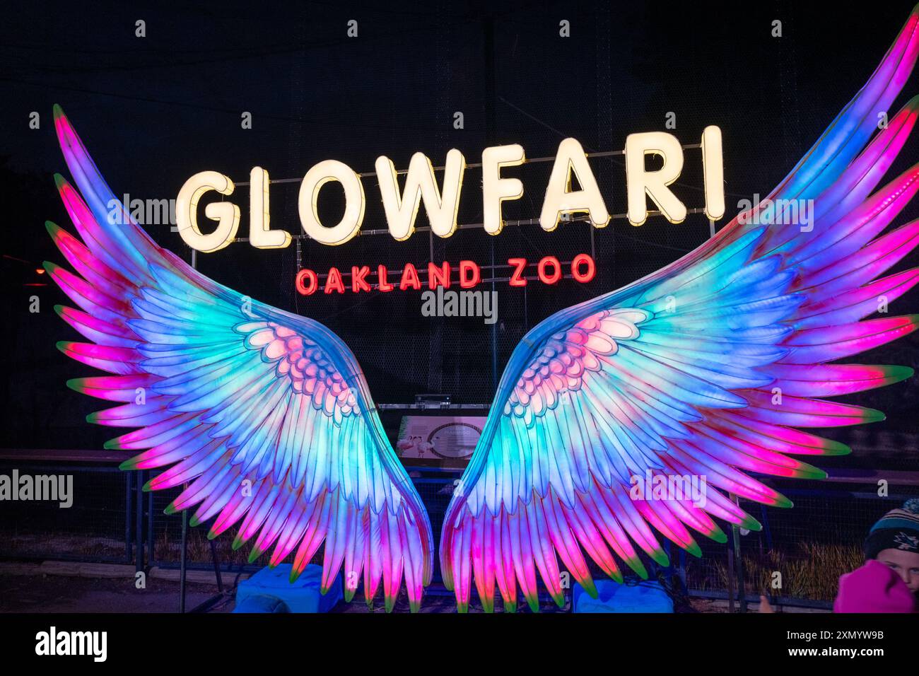 USA. Januar 2024. Beleuchtete Engelsflügel-Installation mit „GLOWFARI“-Schild bei Nacht, Oakland Zoo, Oakland, Kalifornien, 12. Januar, 2024. (Foto: Smith Collection/Gado/SIPA USA) Credit: SIPA USA/Alamy Live News Stockfoto