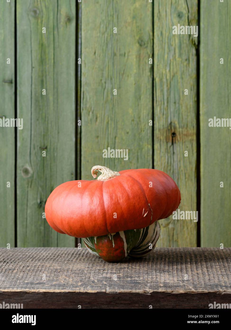 Turk's Turban Erbe Kürbis auf einem alten Holztisch mit grünem Hintergrund Stockfoto