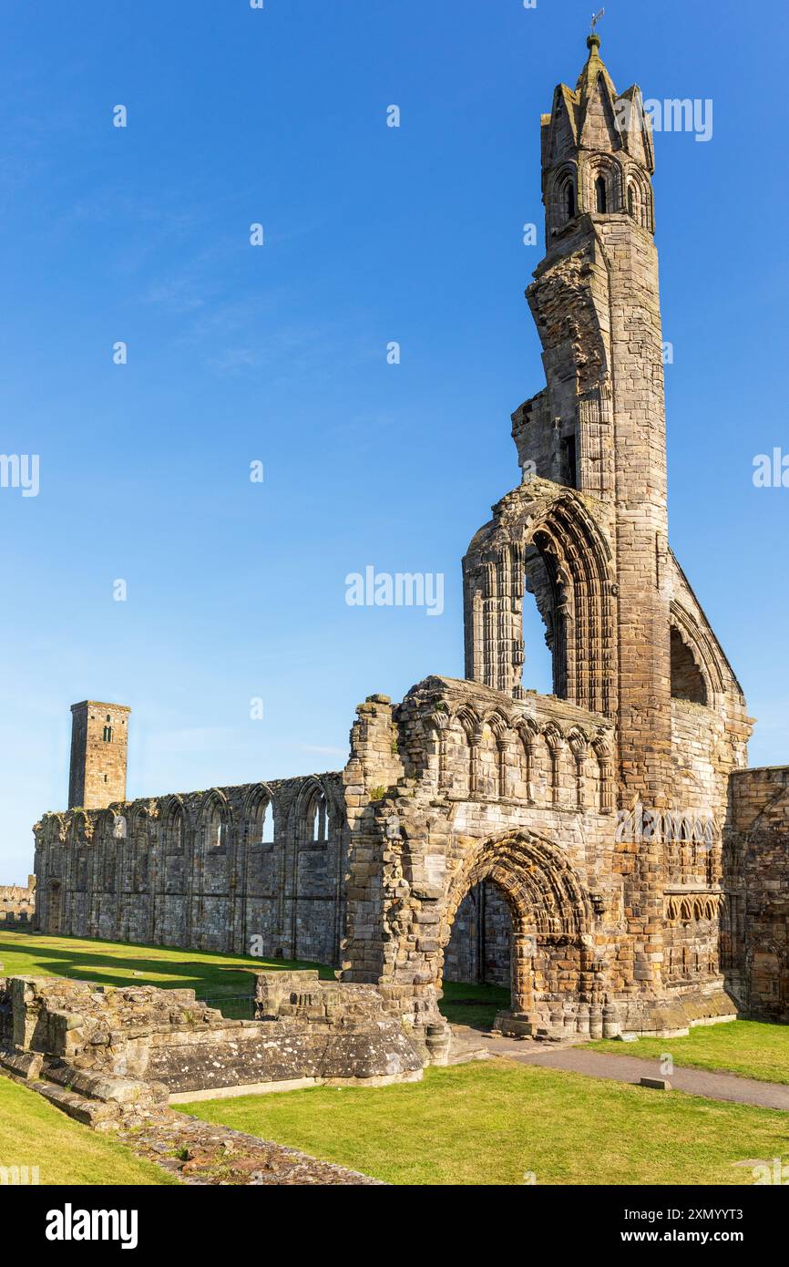 Die Kathedrale von St Andrew (auch als St. Andrews Cathedral bezeichnet) ist eine ruinöse Kathedrale in St Andrews, Fife, Schottland. Stockfoto