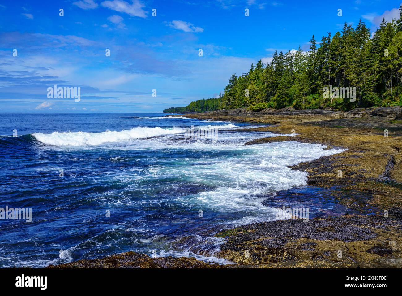 Die zerklüftete Küste an der Westküste von Vancouver Island im Juan de Fuca Provincial Park, British Columbia Stockfoto