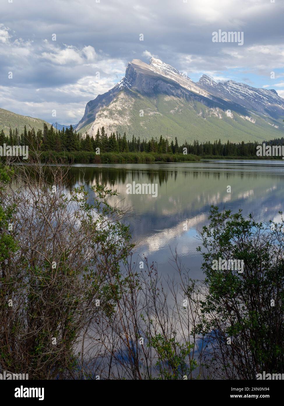 Mount Rundle vom Lake Vermillion, Alberta, Kanada Stockfoto