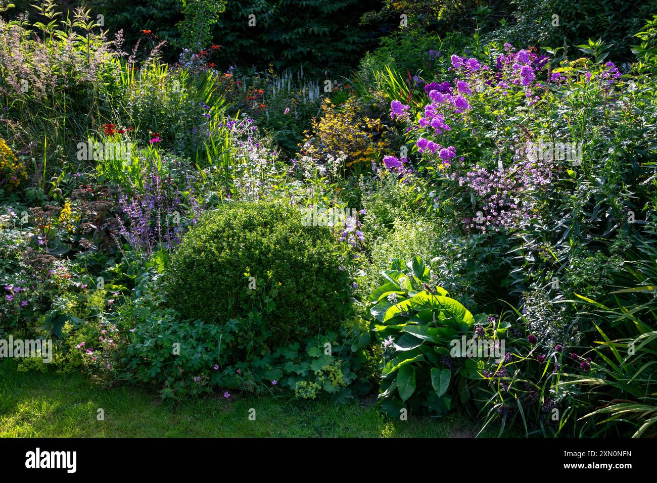 Englischer Landgarten voller Wachstum und blühender Stauden im Hochsommer. Stockfoto