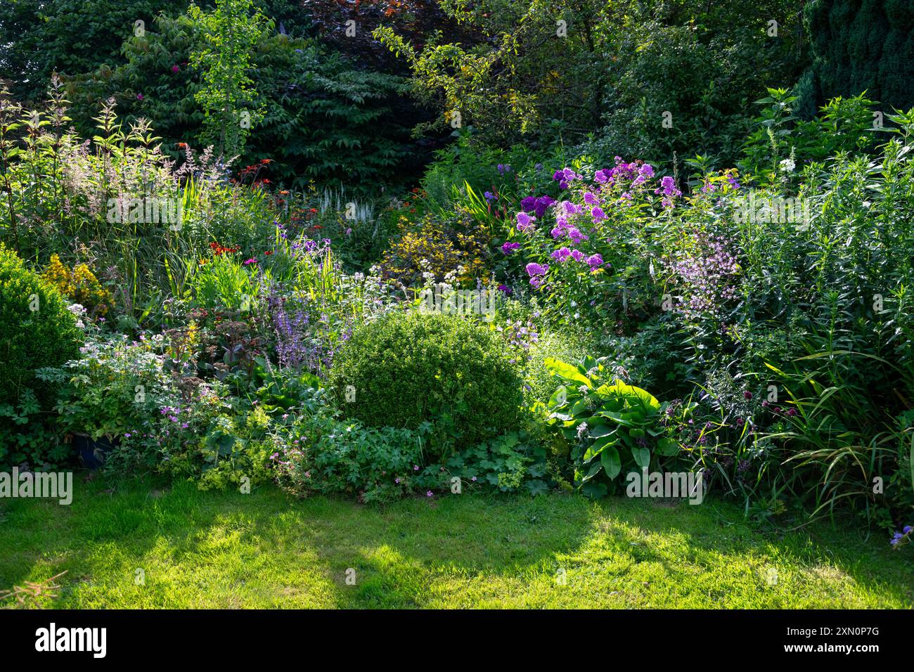 Englischer Landgarten voller Wachstum und blühender Stauden im Hochsommer. Stockfoto