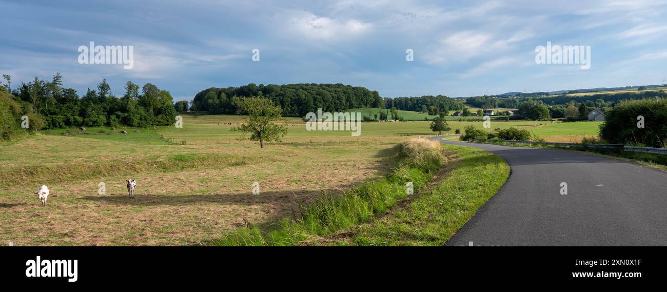 Eine ruhige Landstraße schlängelt sich bei Sonnenuntergang durch die ländliche Landschaft der französischen ardennen Stockfoto