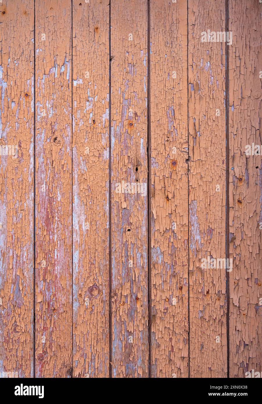 Alte Holzdielen mit abblätternder rosa brauner beiger Farbe und rostigen Nägeln auf einem verlassenen Schuppen Stockfoto