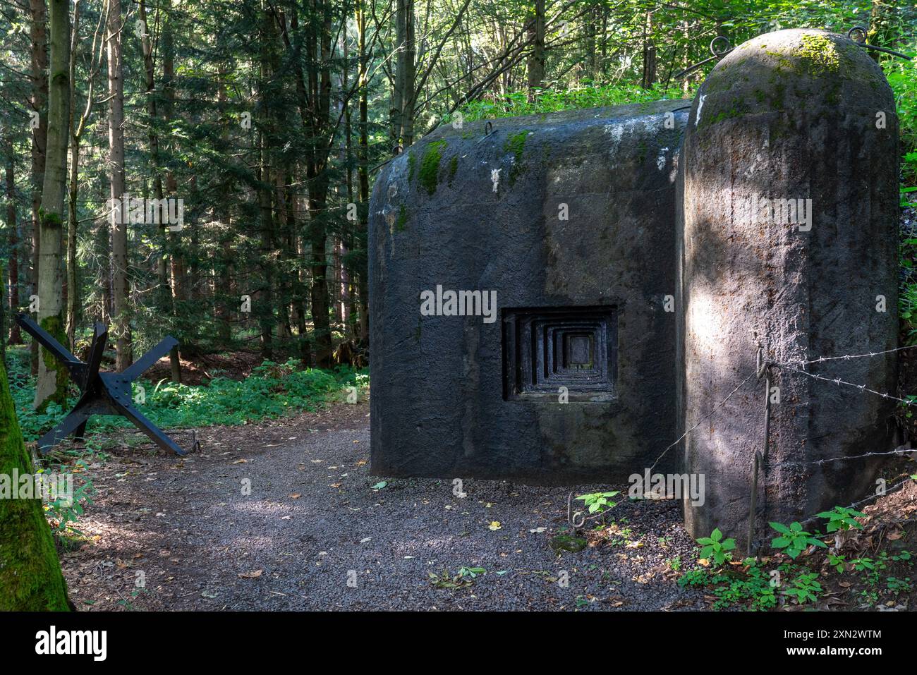 Betonpillenkastenbunker Nr. "ŽSV X/315/A140-Z", Teil der tschechoslowakischen Befestigungslinie vor dem 2. weltkrieg in Orlické hory (Adlergebirge) mit tschechischem Igel. Stockfoto