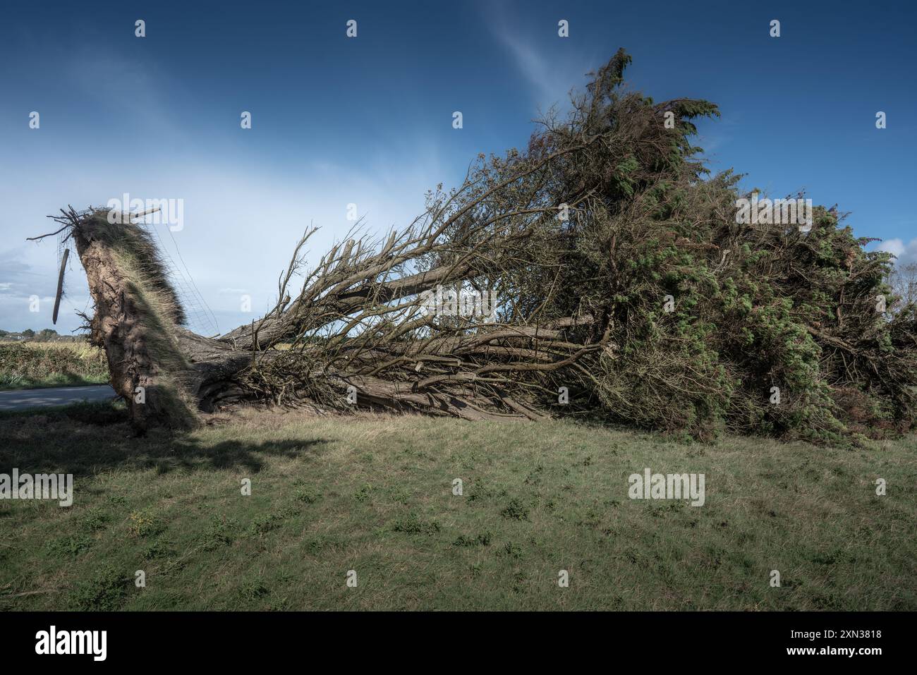 Die wilde Küste auf der französischen Insel, genannt 'Belle île en mer' während eines Sturms Stockfoto