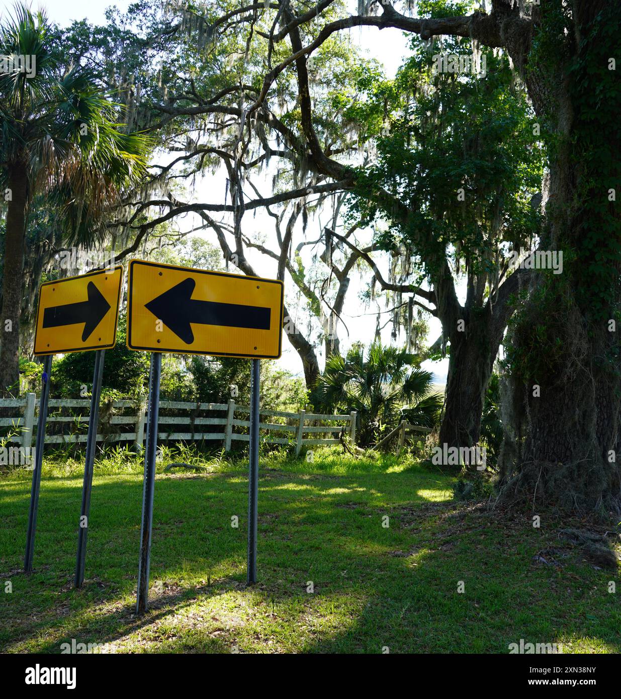 Ein Paar gelber Pfeilschilder, die nach links zeigen, in einem üppigen, grünen Park mit hoch aufragenden Bäumen, die mit spanischem Moos bedeckt sind. Dieses Bild erfasst den Stockfoto