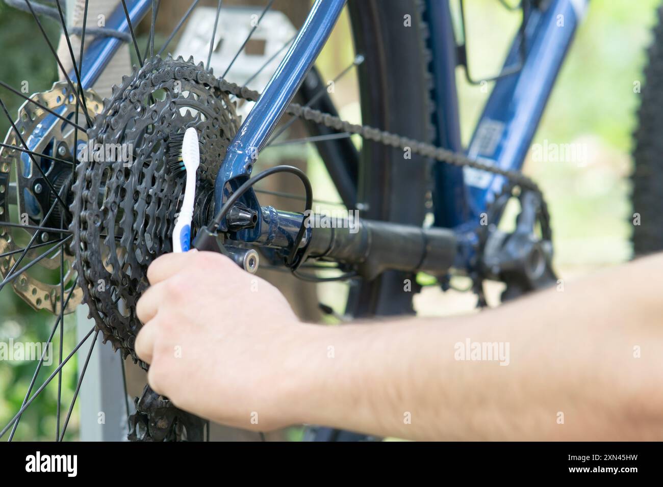 Reinigen einer hinteren Radkassette mit einer Bürste – Nahaufnahme. Fahrradwartung zu Hause. Stockfoto