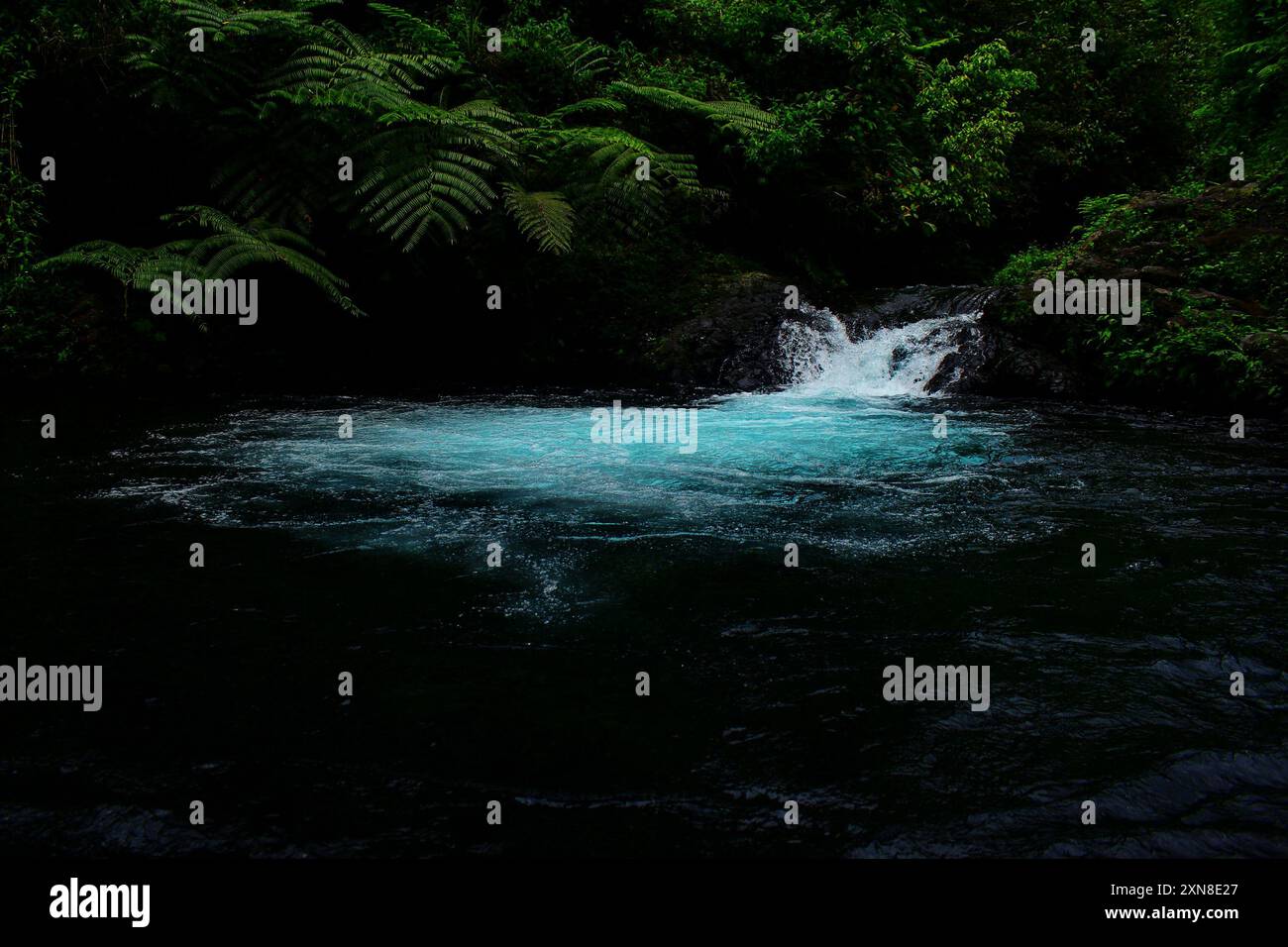 Ruhige und ruhige Wald-Wasserfall-Oase umgeben von üppigem Grün und klarem Wasserteich in einer natürlichen Landschaft Stockfoto