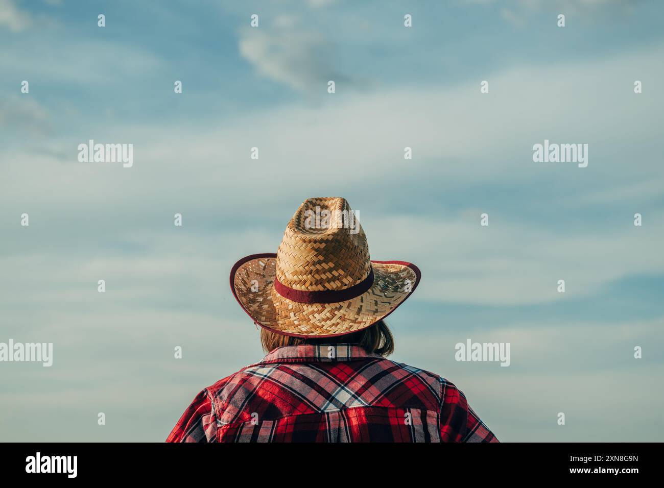 Rückansicht einer Landwirtin mit Strohhut, die auf dem Feld steht und an einem sonnigen Sommertag den Horizont über die ernterfertige Ernte betrachtet, selektiv Stockfoto