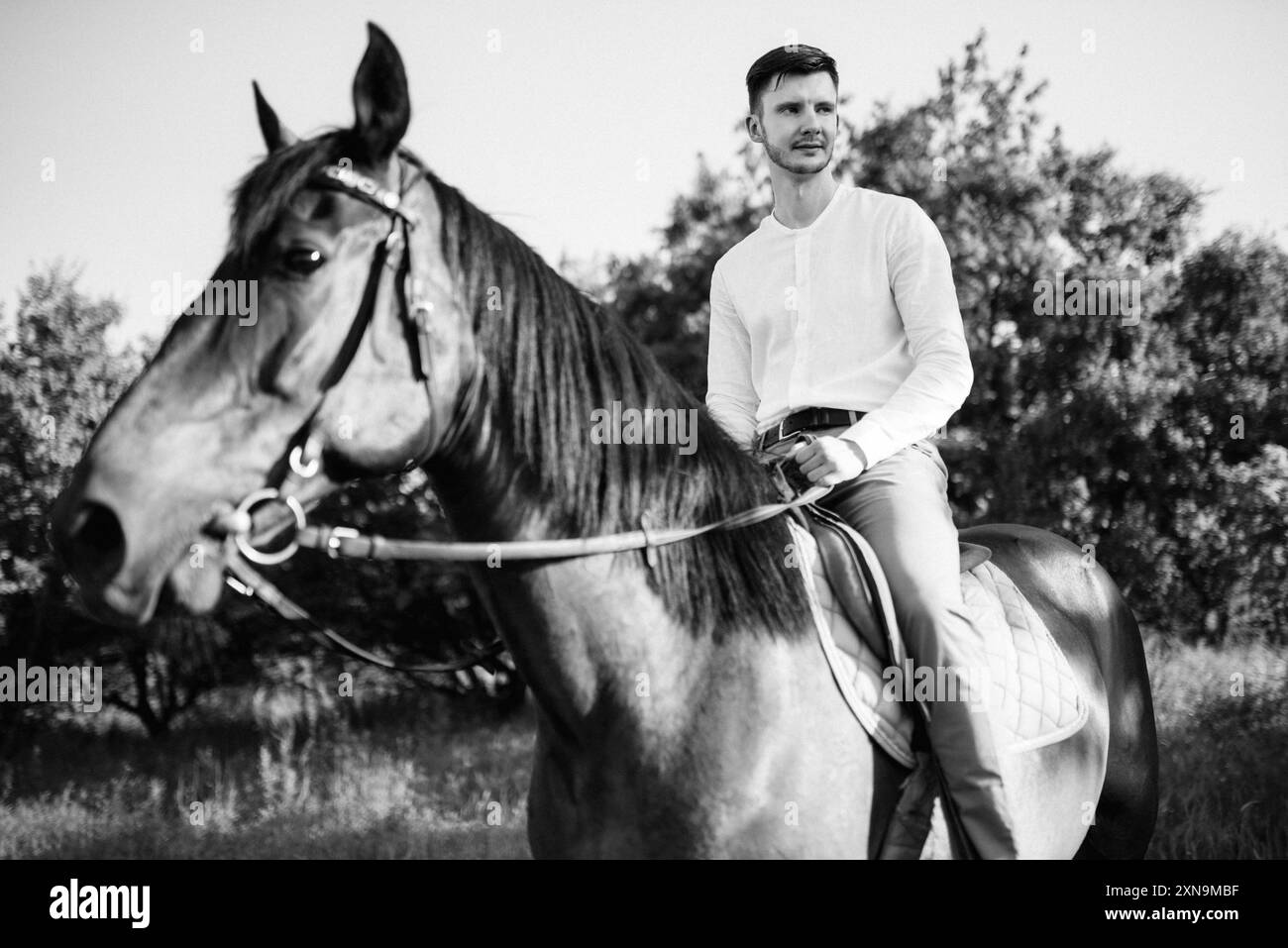 Ein Typ in einem weißen Hemd auf einem Spaziergang mit braunen Pferden im Dorf Stockfoto