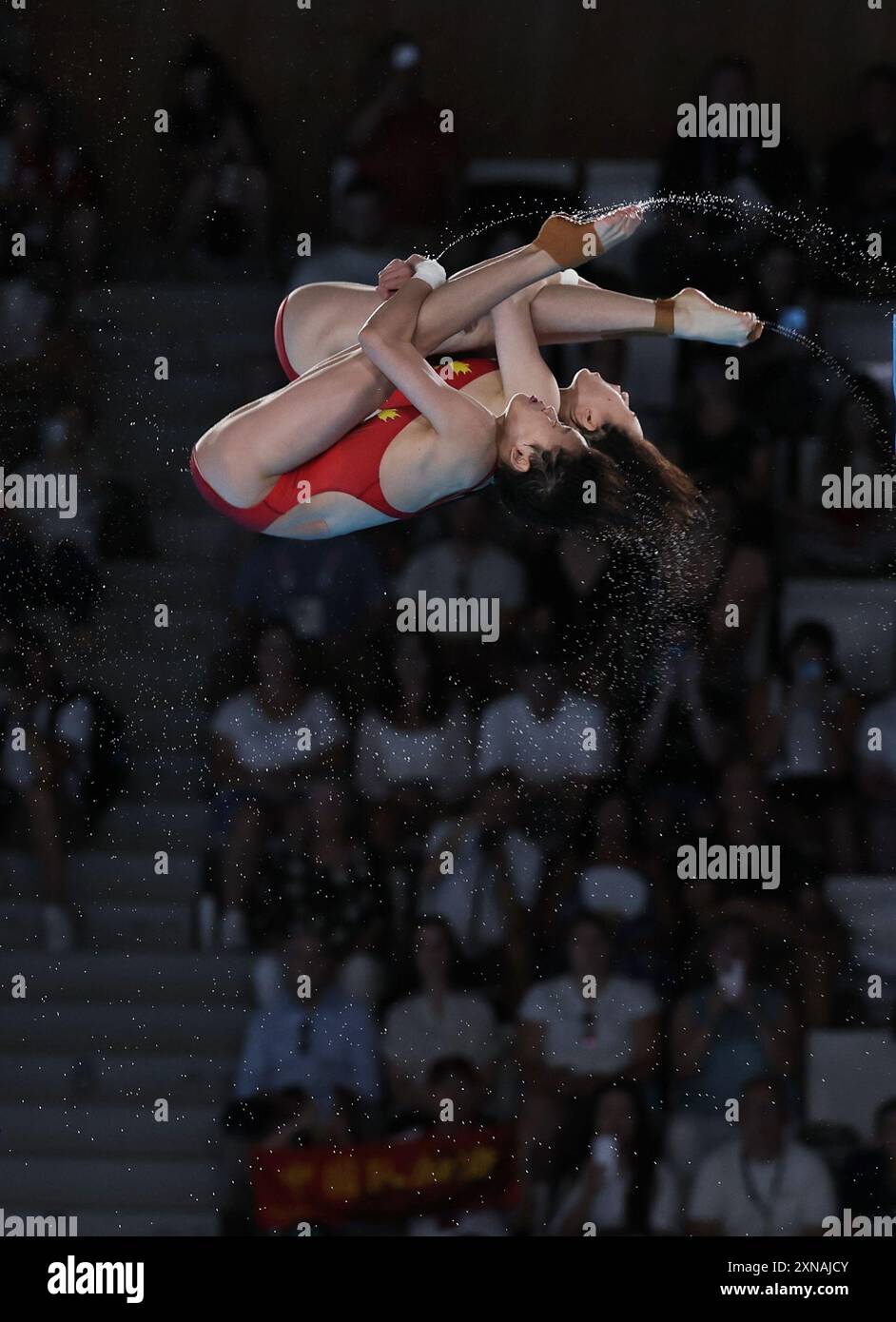 Saint Denis, Frankreich. 31. Juli 2024. Chen Yuxi/Quan Hongchan (Front) aus China treten am 31. Juli 2024 beim synchronisierten 10-m-Plateau-Finale der Frauen bei den Olympischen Spielen 2024 in Saint Denis in der Nähe von Paris an. Quelle: Li Ying/Xinhua/Alamy Live News Stockfoto