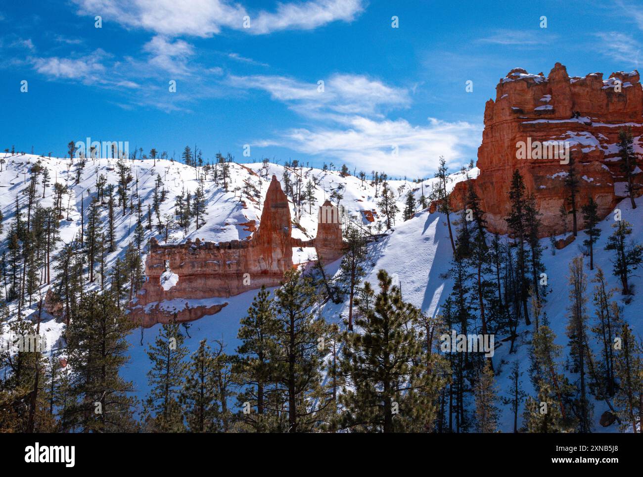 Malerischer Winterblick auf die berühmte Felsformation Tower Bridge im Bryce Canyon National Park in Utah. Die Hoodoos aus rotem Rock stehen im Kontrast zum Schnee – Utah Stockfoto