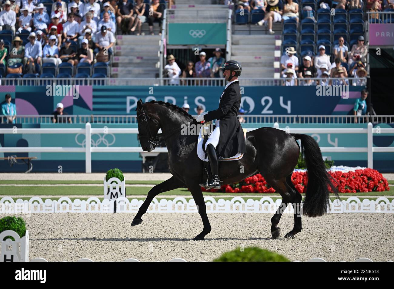 Paris, Fra. 31. Juli 2024. Die belgische Domien Michiels reitet im Intermezzo VH Meerdaalhof während des Dressurwettbewerbs bei den Olympischen Sommerspielen 2024 in Paris am 31. Juli 2024 in Versailles, Frankreich. (Foto: Anthony Behar/SIPA USA) Credit: SIPA USA/Alamy Live News Stockfoto