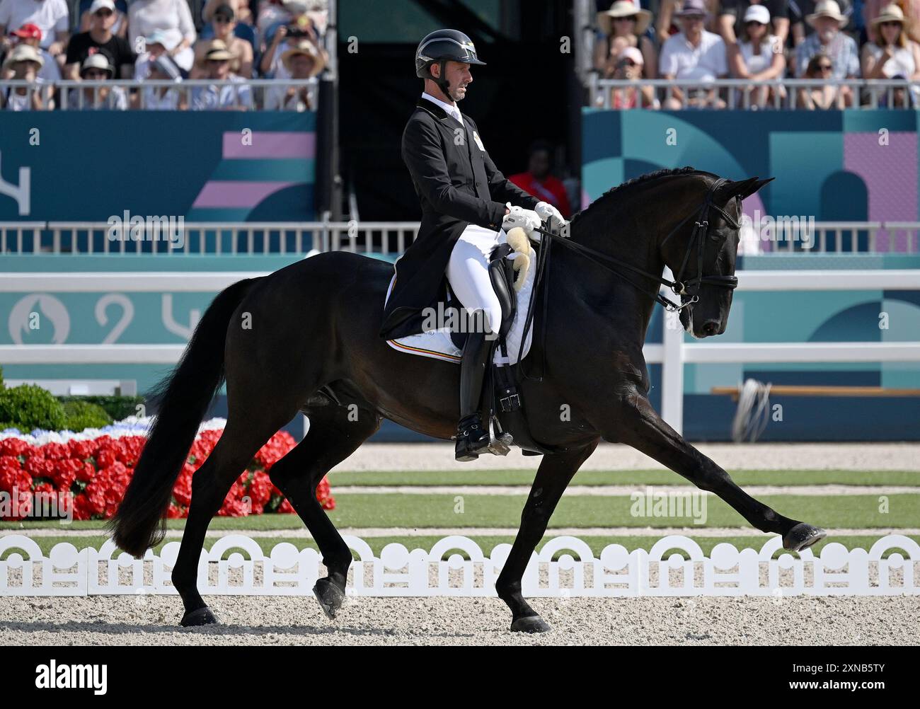 Paris, Fra. 31. Juli 2024. Die belgische Domien Michiels reitet im Intermezzo VH Meerdaalhof während des Dressurwettbewerbs bei den Olympischen Sommerspielen 2024 in Paris am 31. Juli 2024 in Versailles, Frankreich. (Foto: Anthony Behar/SIPA USA) Credit: SIPA USA/Alamy Live News Stockfoto
