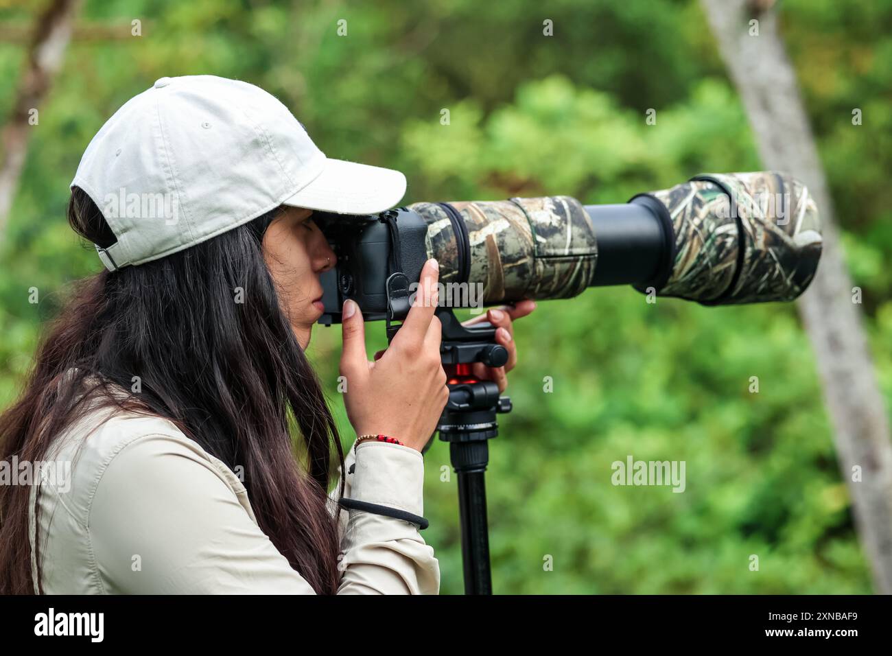 Die lateinische Naturfotografin verwendet ihr Teleobjektiv, um Wildtiere im Dschungel festzuhalten. Die Szene zeigt ihr Engagement für die Dokumentation der Div Stockfoto