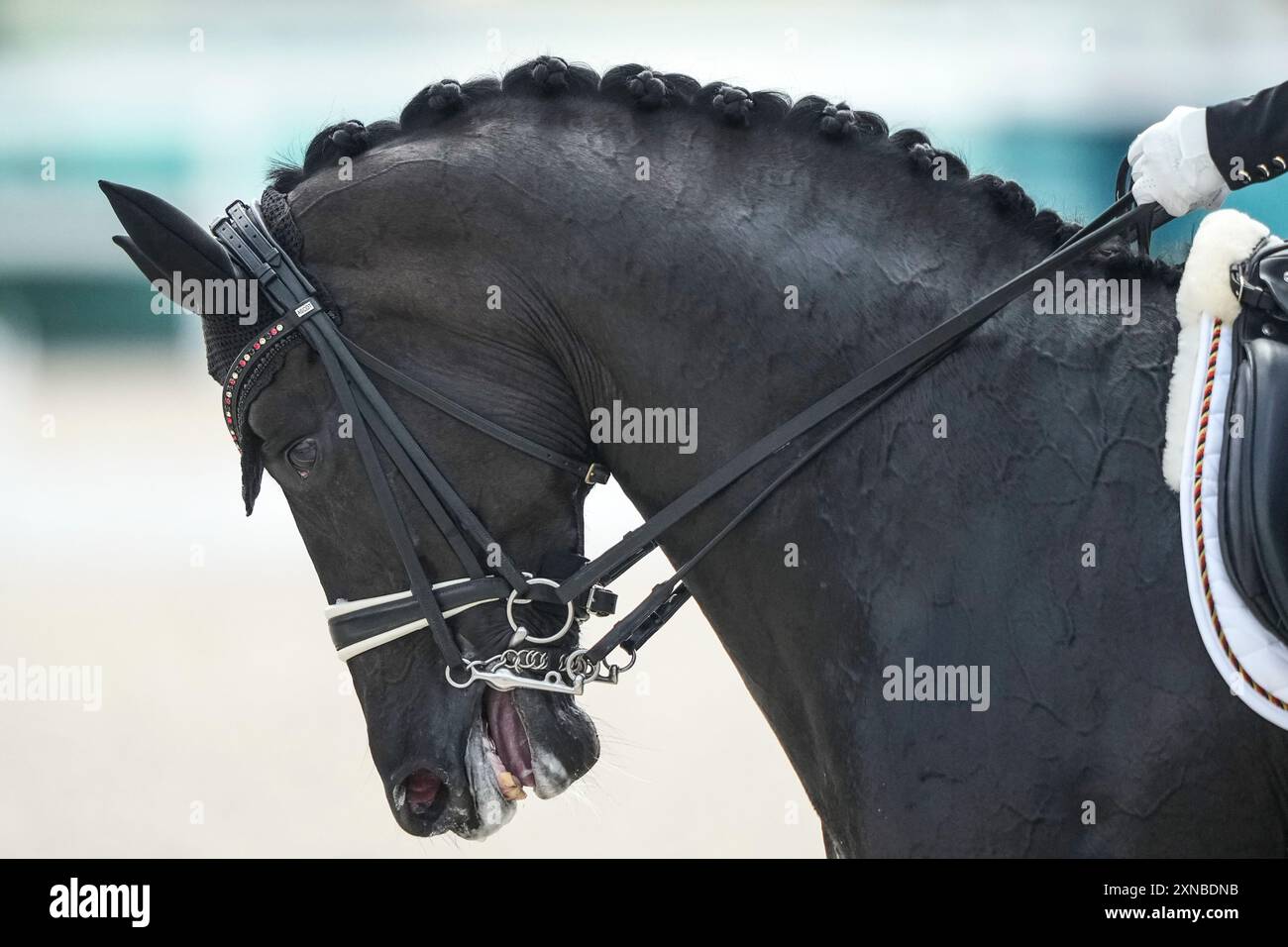Germany's Isabell Werth, riding Wendy, competes in the equestrian dressage at the 2024 Summer Olympics, Wednesday, July 31, 2024, in Versailles, France. (AP Photo/Mosa'ab Elshamy) Stockfoto